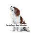 Relaxing Dog Music