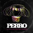 Perro