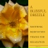 Mindful Mantra Music