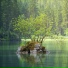 Yoga Music, Deep Sleep, Meditation Spa