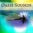 The Gong & Tibetan Singing Bowls Meditation