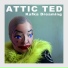 Attic Ted