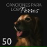 Música Relajante para Perros