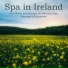Pure Massage Music