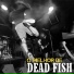 Dead Fish