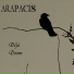 AraPacis