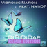 Vibronic Nation ft Natid7