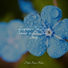 Musique Zen Garden, Natural Samples, Study Music