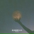 RAMMELLS