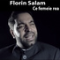 Florin Salam