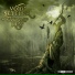 Void Settler