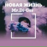 Mr.Di-Gor