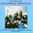 Hallingdal Kraftlag