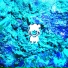 Swimrabbit