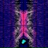 True Anomaly