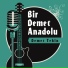 Demet Tekin