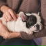 Dog Music, Sleepy Dogs, Music for Pets Library
