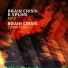 Brain Crisis & Spline