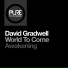 David Gradwell
