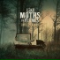 Like Moths To Flames