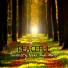 Relaxing Night Music Academy