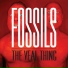 FOSSILS