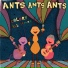 Ants Ants Ants