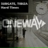 Subgate, Tibiza