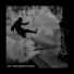 Flowdan, Abstrakt Sonance