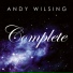 Andy Wilsing