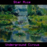 Star Mice