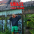 Smaze