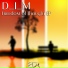 D I M feat. Surround