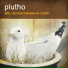 Plutho