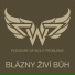 Pleasure Without Problems