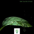 Mother Nature Sound FX