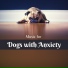 Music for Dogs Collective