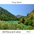 Grup Saron