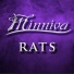 Minniva feat. Quentin Cornet