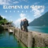 Element Of Crime (2014)