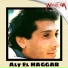 Aly El Haggar