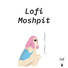 Lofi Moshpit, Chill Select