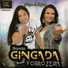 Banda Gingada Forrozeira