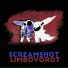 screamshot x пмзп