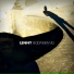 Lenny Kittilsen