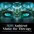 Ambient Masters