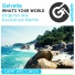Gelvetta - What's your world ( Dyukanya Remixs )
