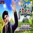 Syed Arsalan Shah Qadri