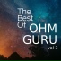 Ohm Guru