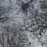 A Grave With No Name